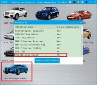 CAS Mileage Reset Autorisierung für CGDI Prog BMW MSV80 CAS1 CAS2 CAS3 CAS3+ über OBD