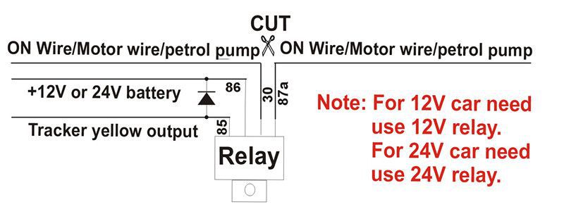 Kostenloser Service Charge Auto GPS Tracker